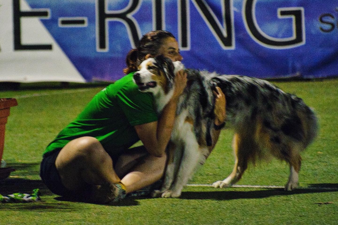 Quello in cui facciamo Agility dog🐾 Zelda